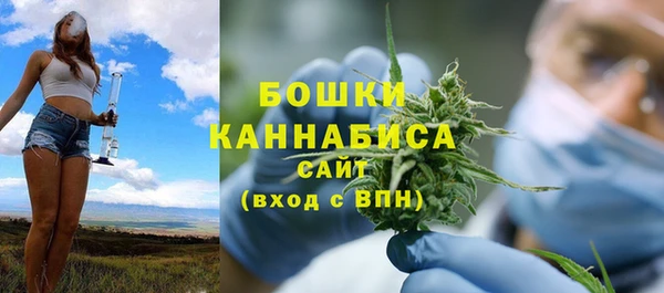 соль ск Верхний Тагил