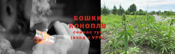 соль ск Верхний Тагил