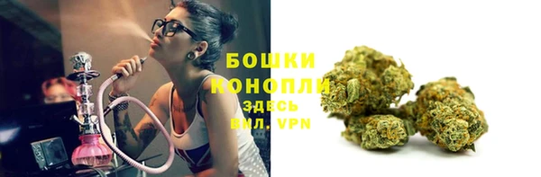 соль ск Верхний Тагил