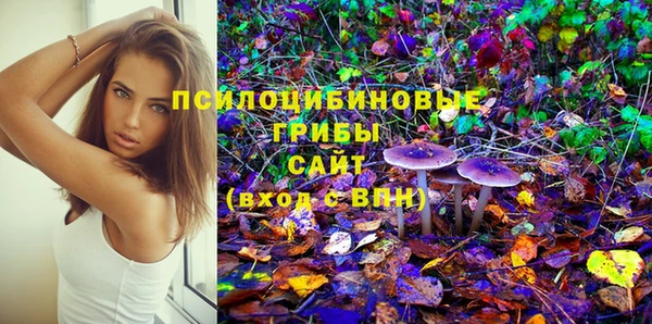 соль ск Верхний Тагил