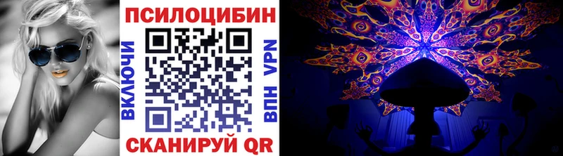что такое   Вязники  Псилоцибиновые грибы ЛСД 